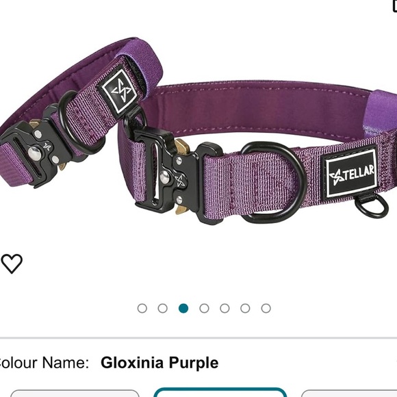 Stellar Ménage Premium Dog Collar Tactical Collar Sz 3 Purple Fits Neck 10-11.5" - Picture 1 of 9